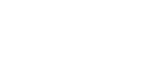 Barlin-Service